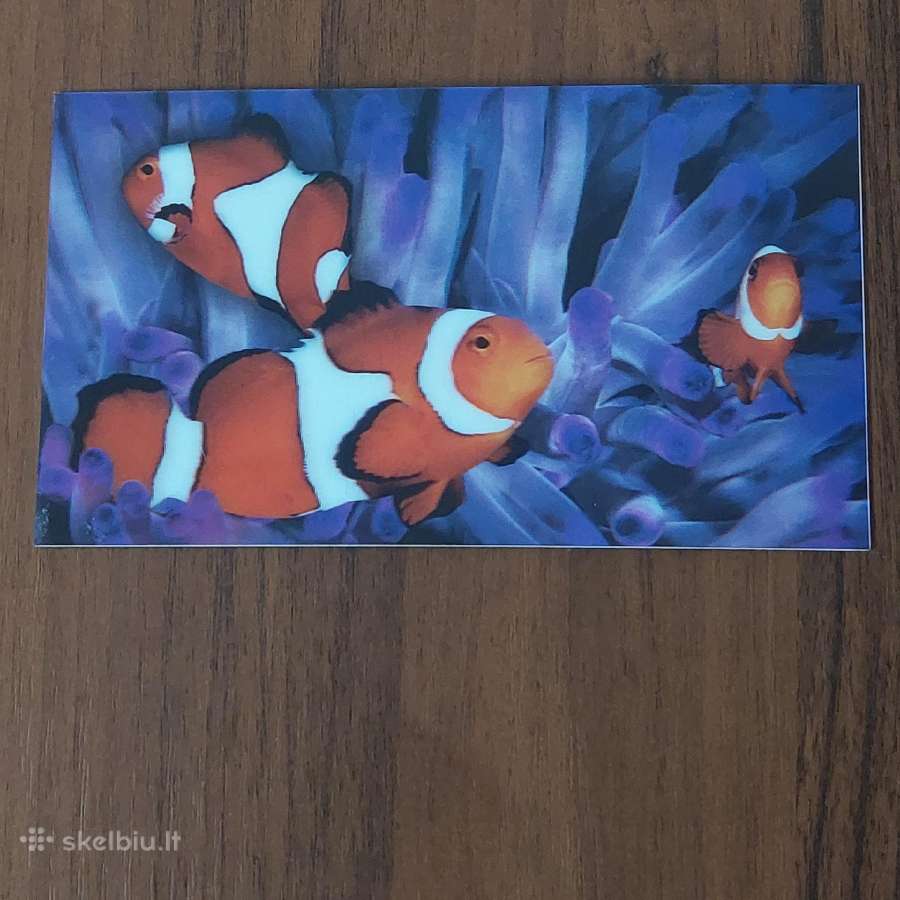 Stereo ( 3D ) atvirutės . - nuotraukos Nr. 9