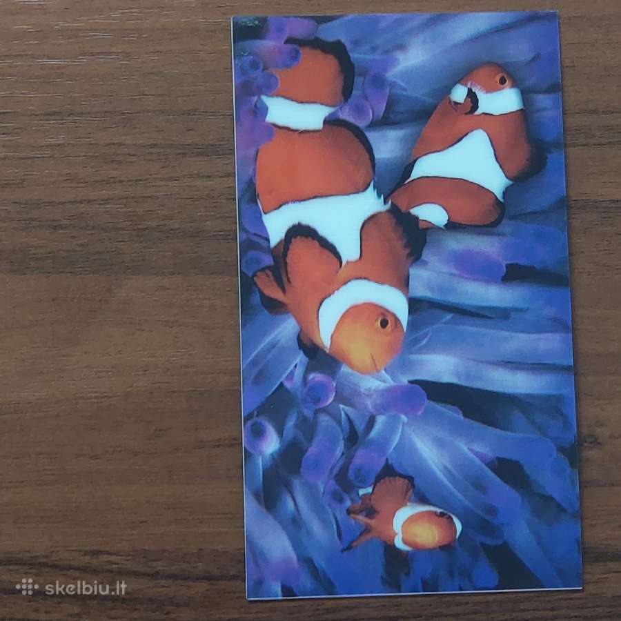 Stereo ( 3D ) atvirutės . - nuotraukos Nr. 10