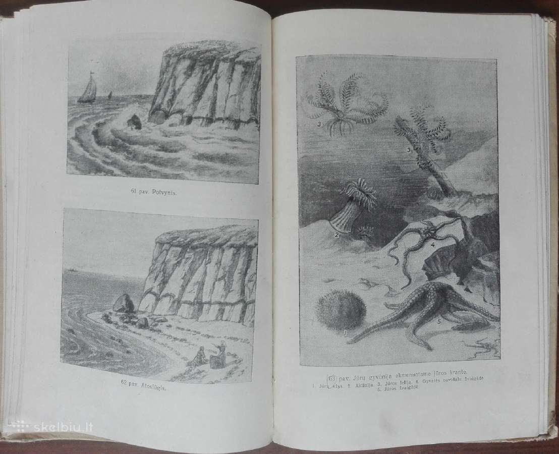 1764. Fizinė Geografija A. Barkovas - nuotraukos Nr. 4