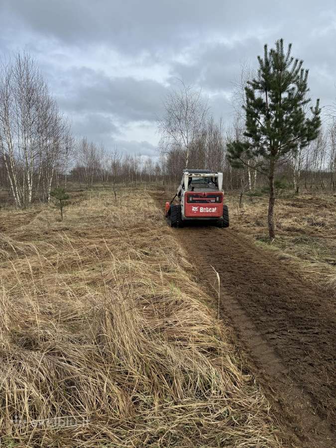 Bobcat vikšrinio T650, T590 nuoma su operatoriumi - nuotraukos Nr. 12