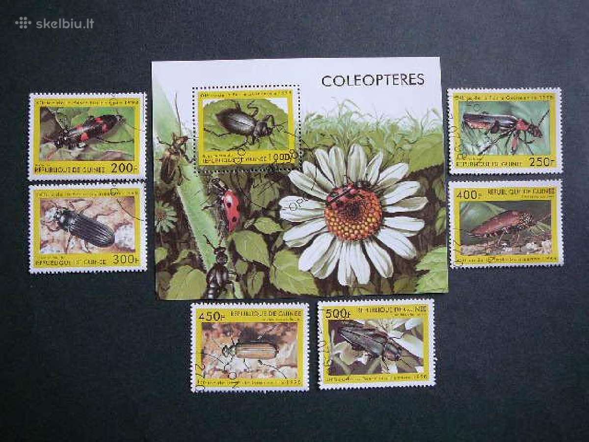 Vabalai Geles Gvineja 1998 antsp. gvn208