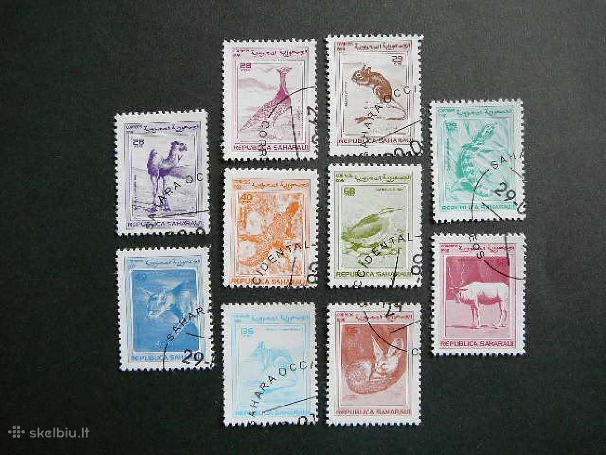 Krokodilai Kupranugariai Sahara 1998 antsp. sh180