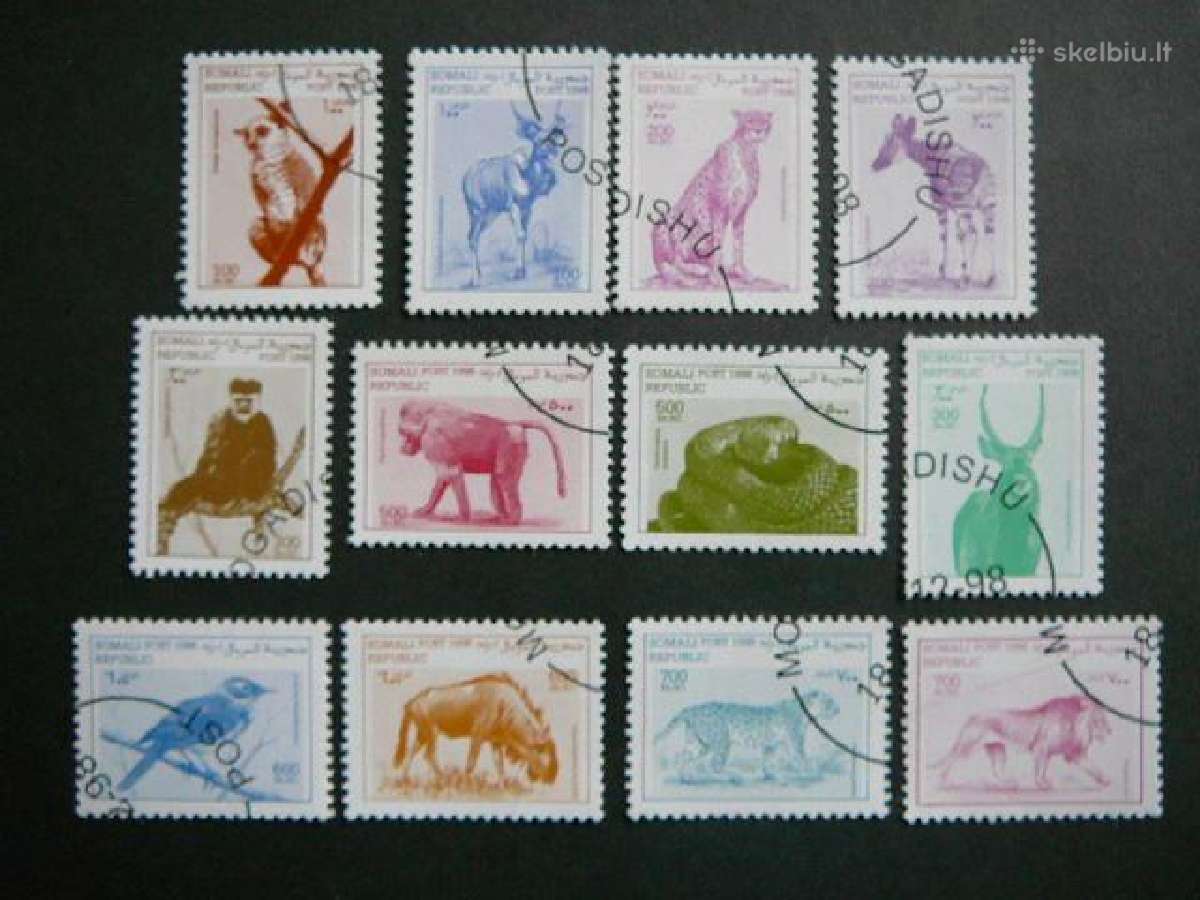 Kates laukines Bezdziones Somalis 1998 antsp Ls230