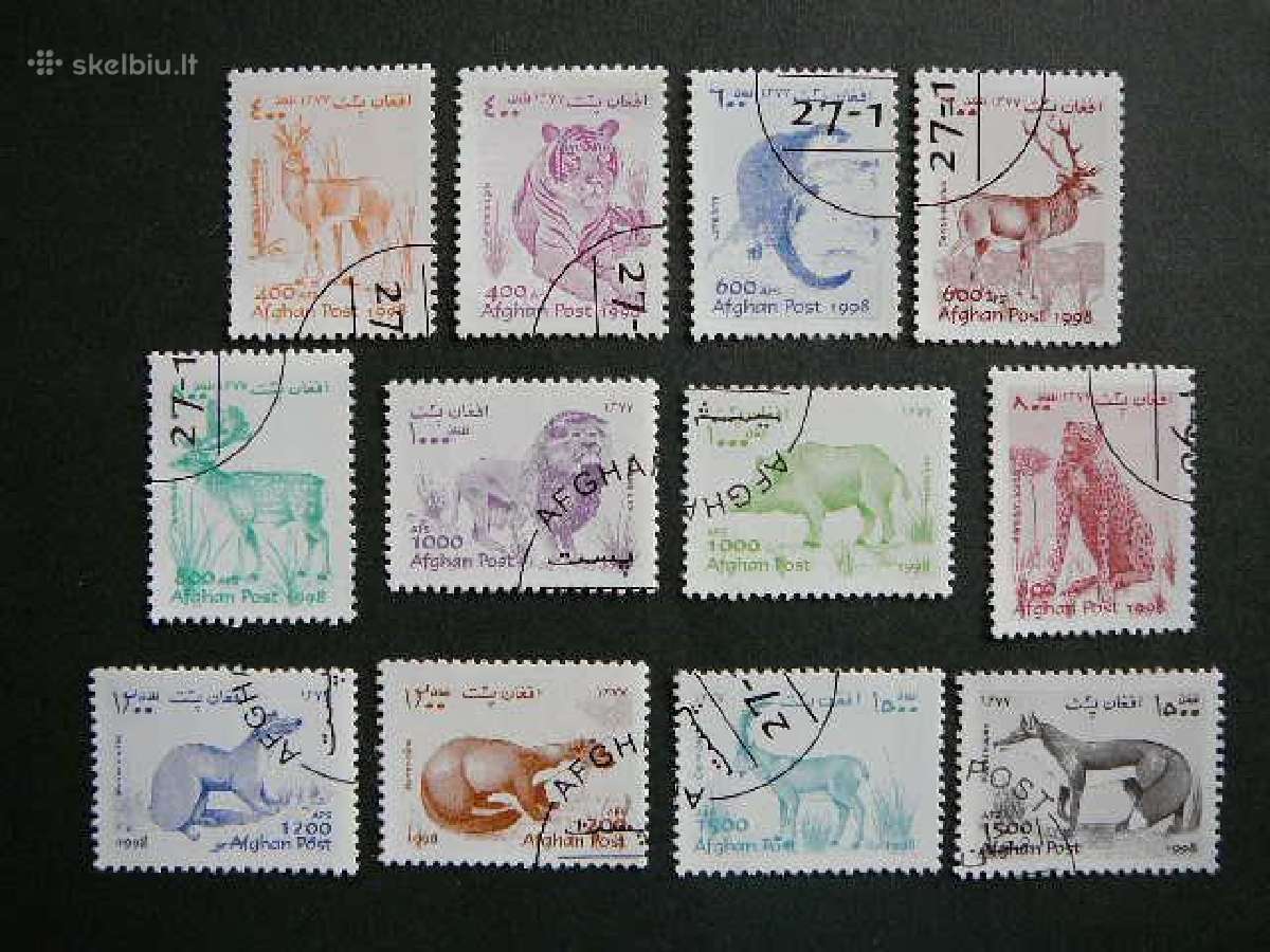 Kates laukines . Afganistanas 1998 antsp. afg195