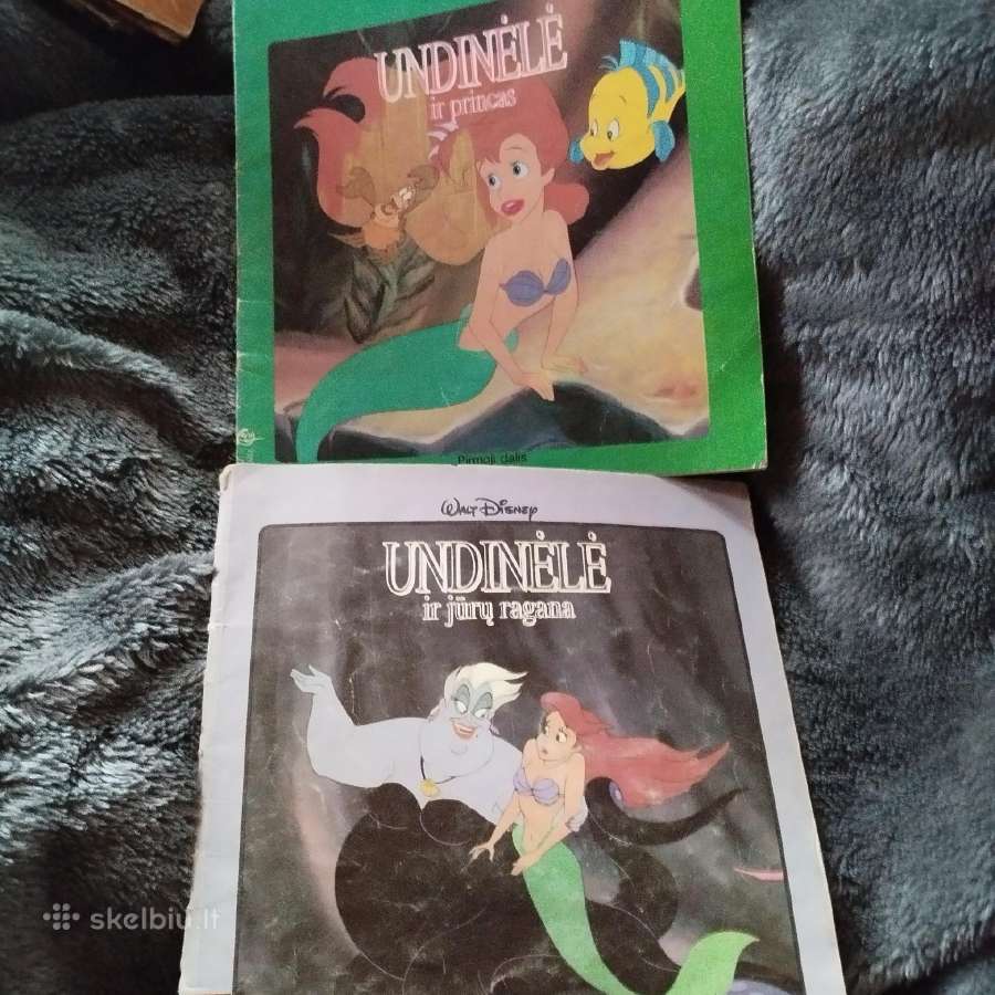 Disney knygutės