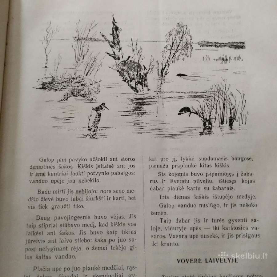 Vintage kolekcinė knyga - nuotraukos Nr. 6