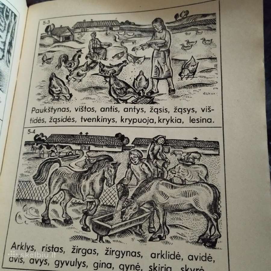 Vintage kolekcinė knyga vadovelis - nuotraukos Nr. 6