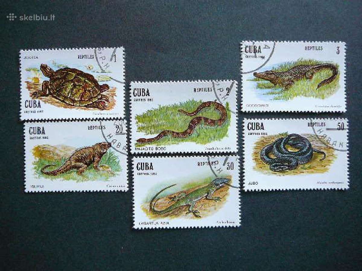Reptilijos Vezliai Gyvates Kuba 1983 cu158