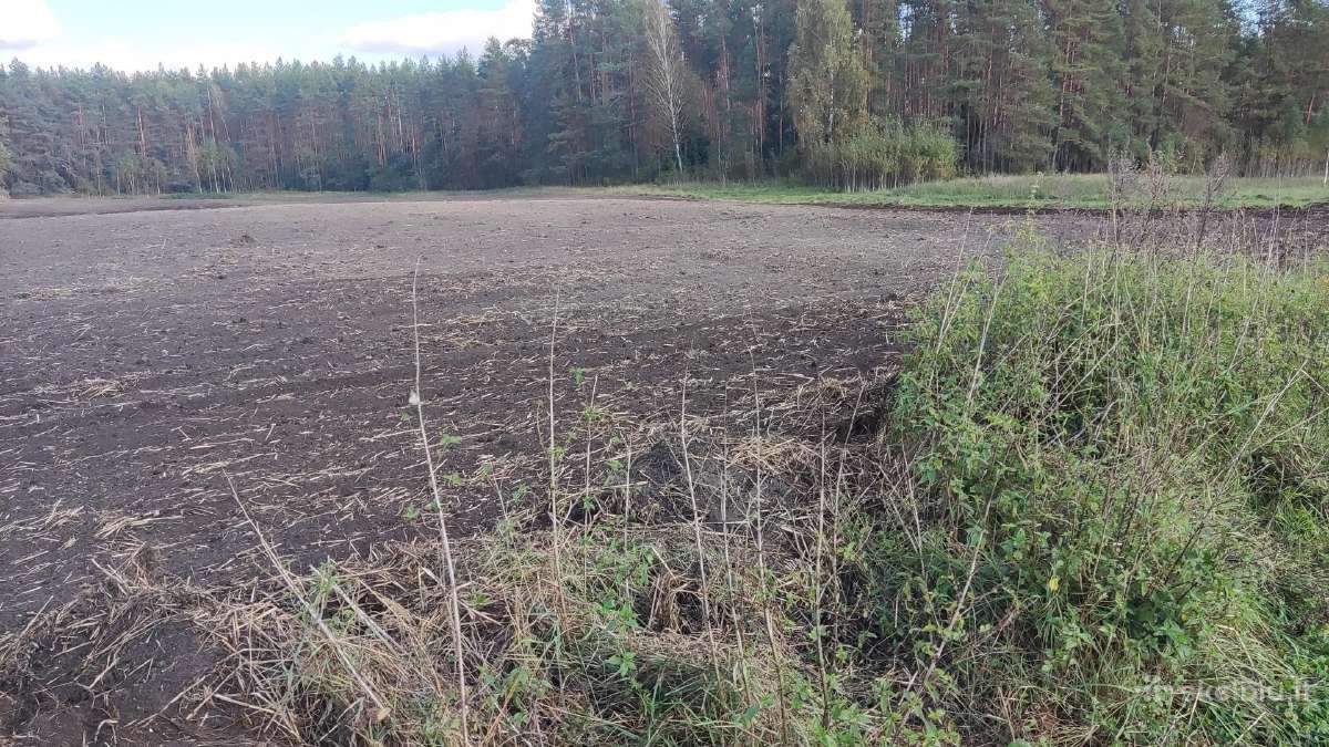 Sklypas Trakų rajone Senojo Tarpupio kaime - nuotraukos Nr. 2