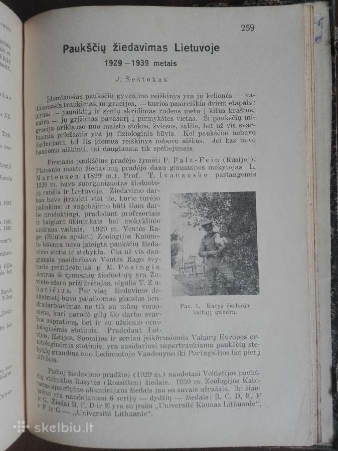 1787. Gamta retas antikvarinis-kolekcinis - nuotraukos Nr. 17