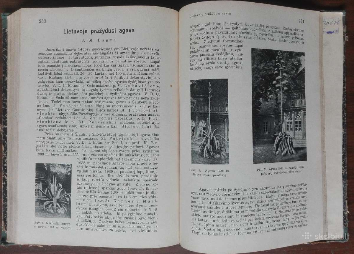 1787. Gamta retas antikvarinis-kolekcinis - nuotraukos Nr. 19