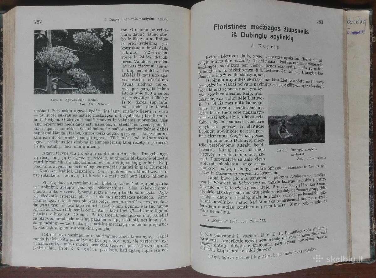 1787. Gamta retas antikvarinis-kolekcinis - nuotraukos Nr. 20