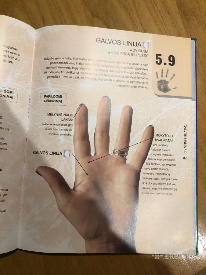 Delnų kalba - nuotraukos Nr. 4