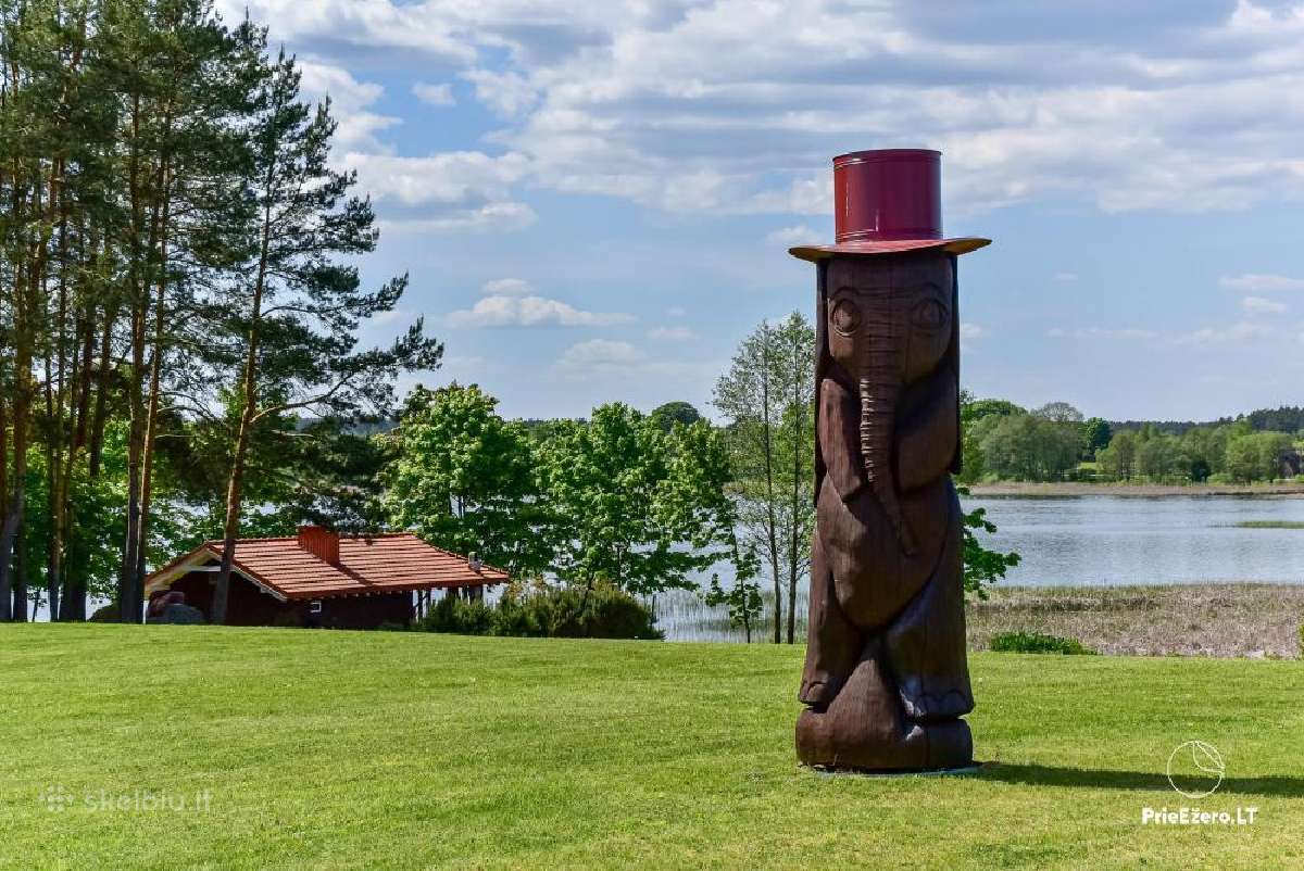Jauki sodyba prie ežero, pirtis, baidarių nuoma - nuotraukos Nr. 6