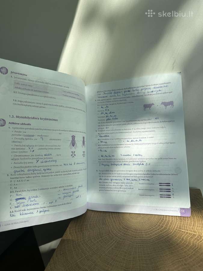Biologijos užduotys 10 klasei - nuotraukos Nr. 3