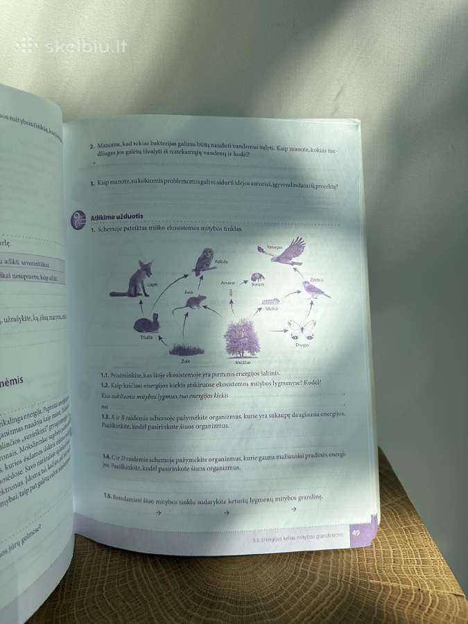 Biologijos užduotys 10 klasei - nuotraukos Nr. 5