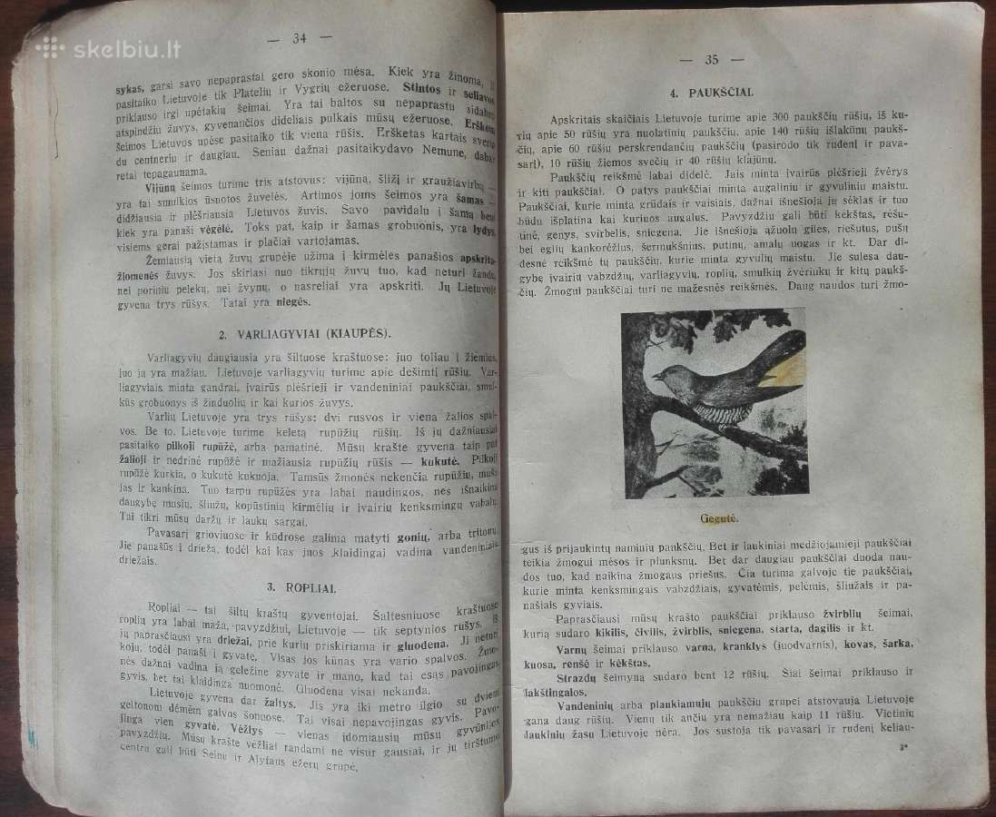 1789. Lietuvos Geografija S.tarvydas reta antikvar - nuotraukos Nr. 7