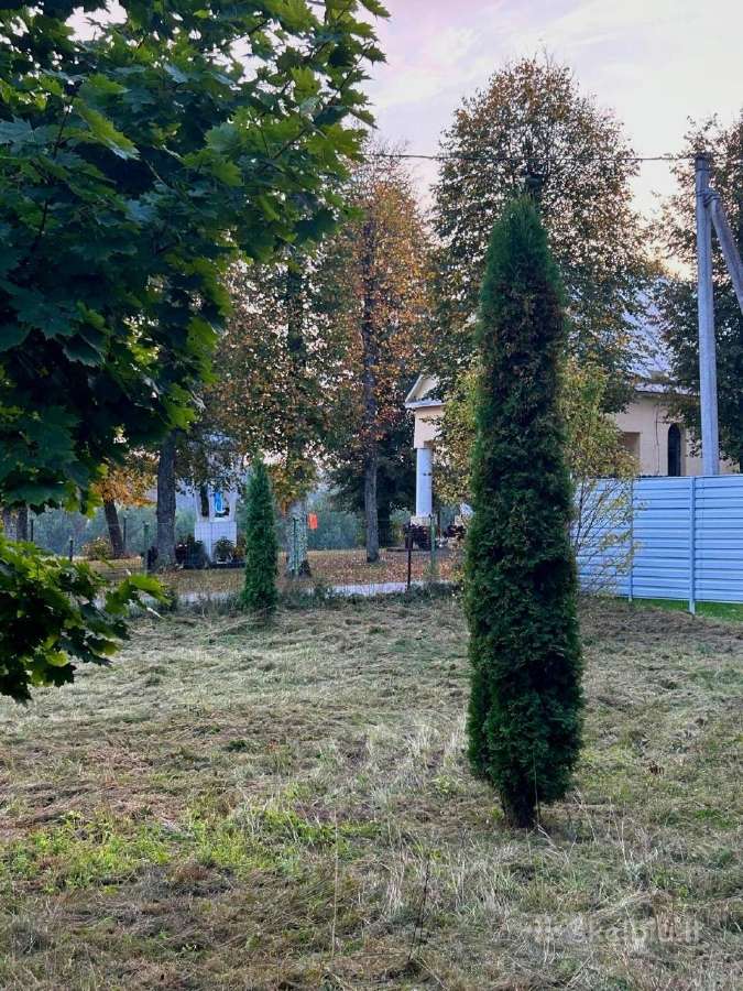 Namų valdos sklypas 0,33 h - nuotraukos Nr. 6
