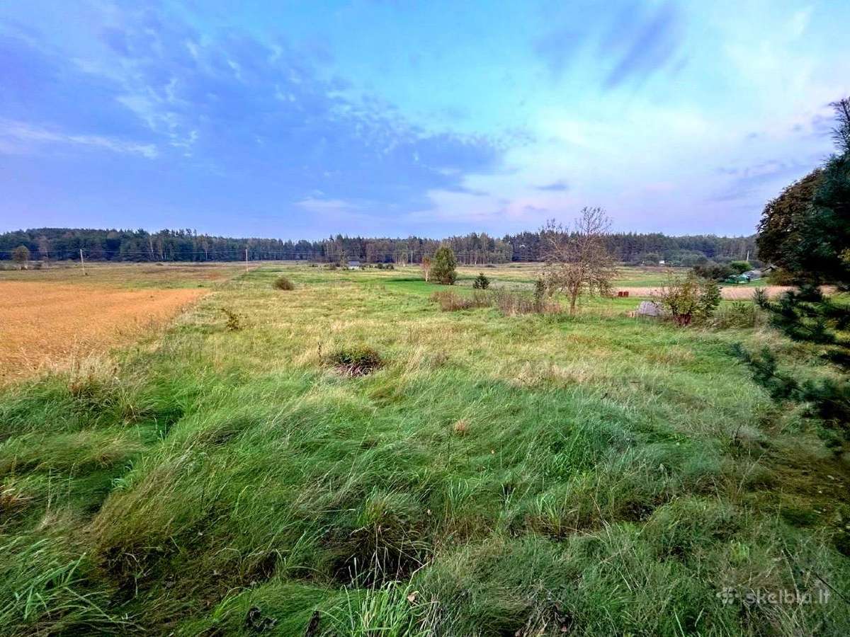 Namų valdos sklypas 0,33 h - nuotraukos Nr. 10