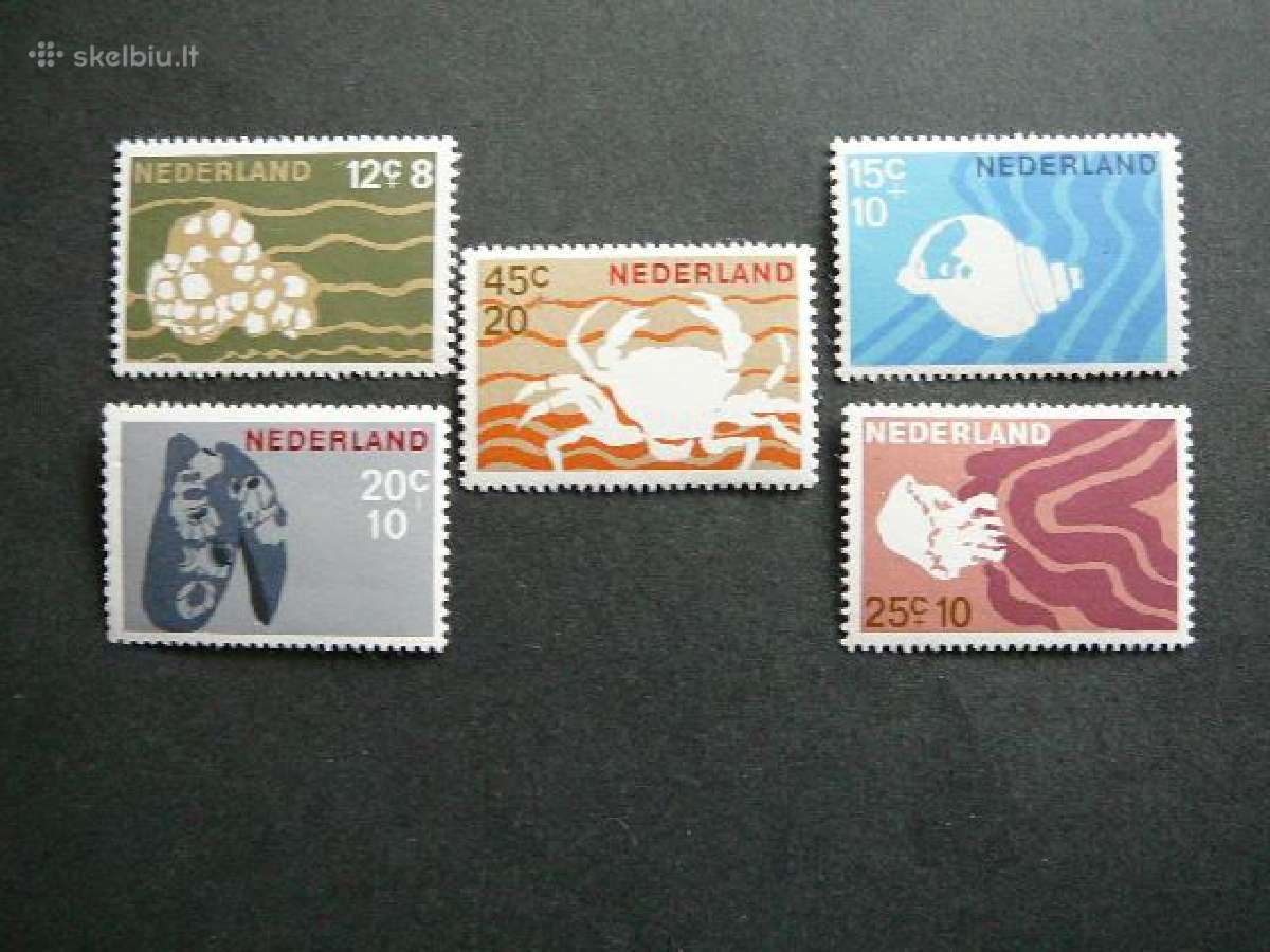 Kriaukles Krabai Nyderlandai svarus ndr413