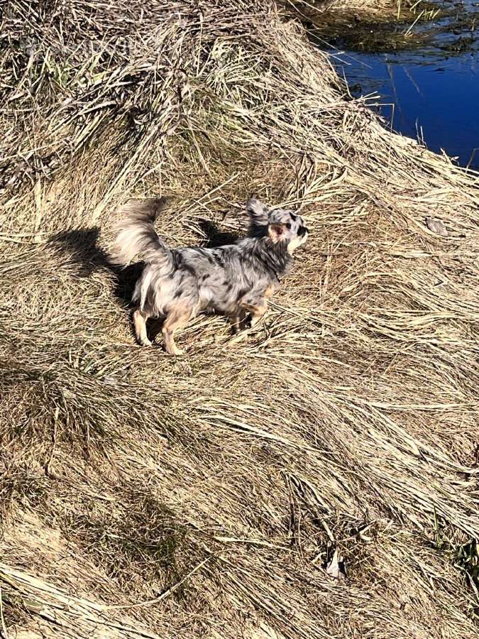 Ekskliuzyvinis mini mini berniukas su dok. - nuotraukos Nr. 16