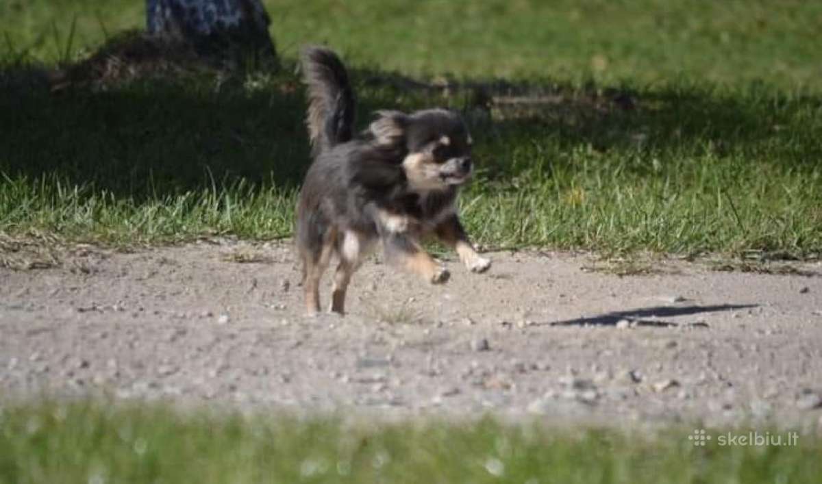 Ekskliuzyvinis mini mini berniukas su dok. - nuotraukos Nr. 25