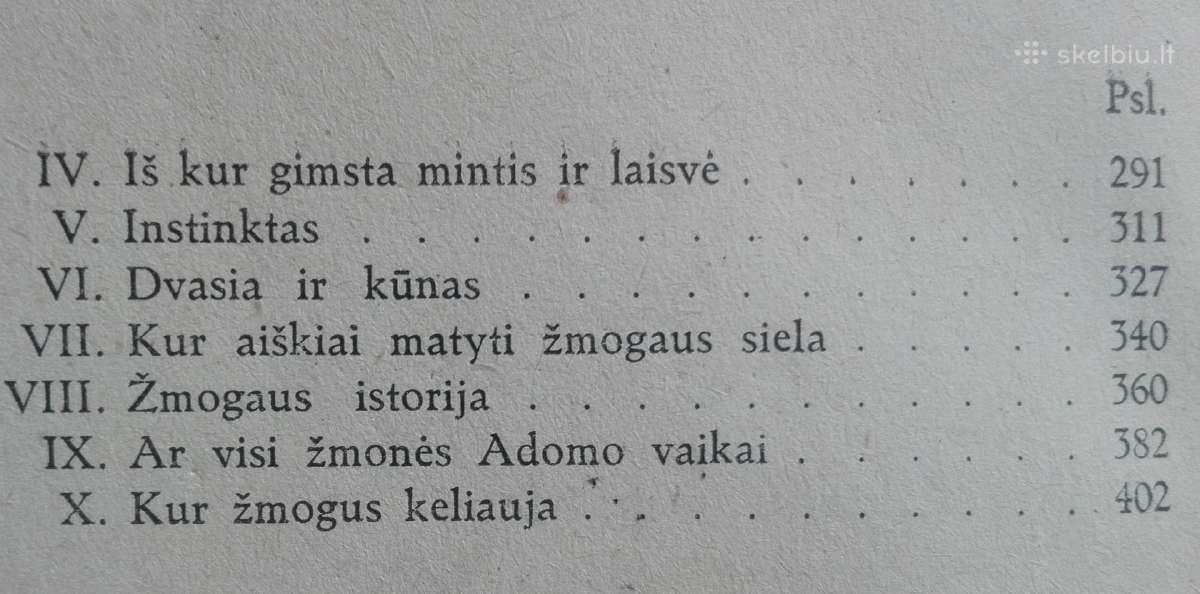 1797. Dievas-pasaulis-žmogus B. Viksva - nuotraukos Nr. 4