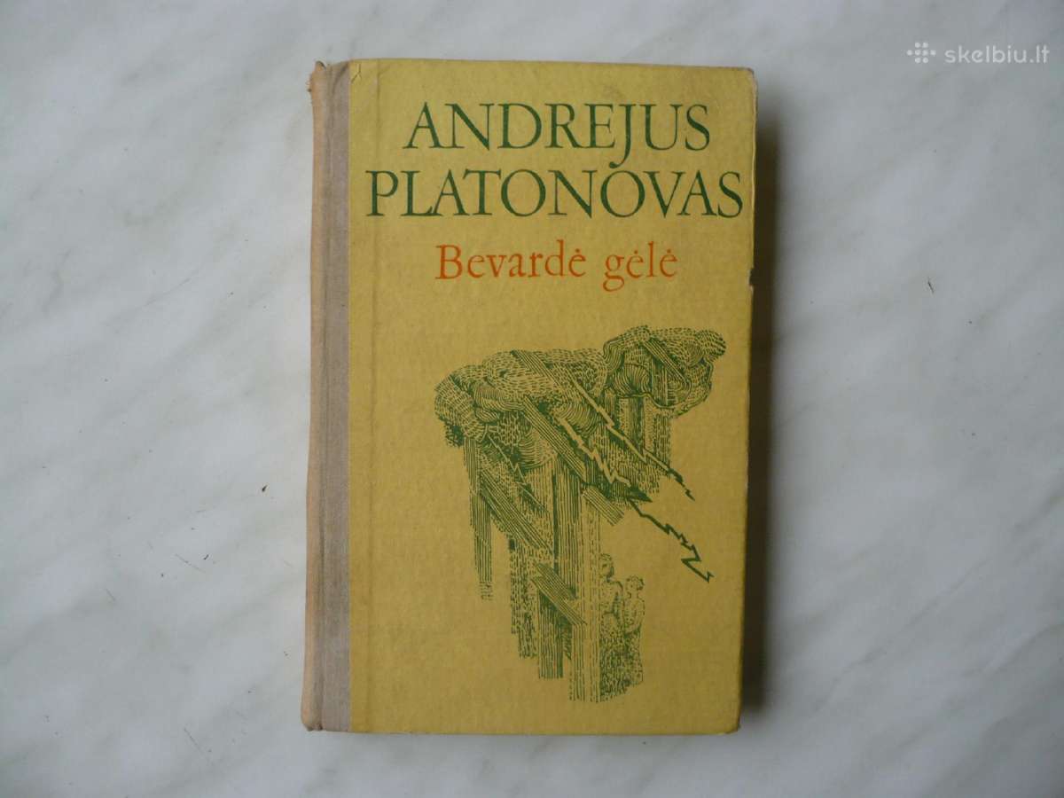 A. Platonovas - Bevardė gėlė