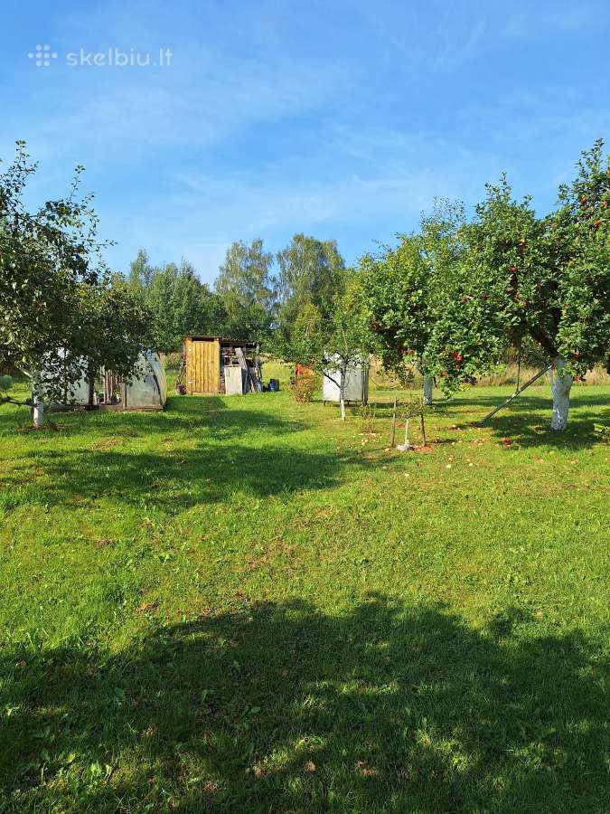 Parduodamas sodo sklypas su nameliu. - nuotraukos Nr. 2