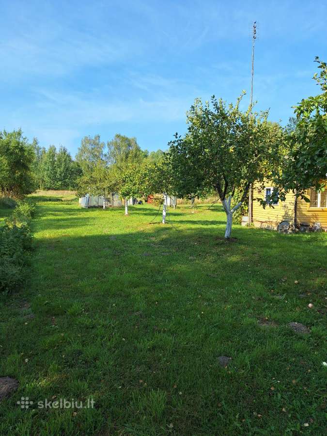 Parduodamas sodo sklypas su nameliu. - nuotraukos Nr. 9