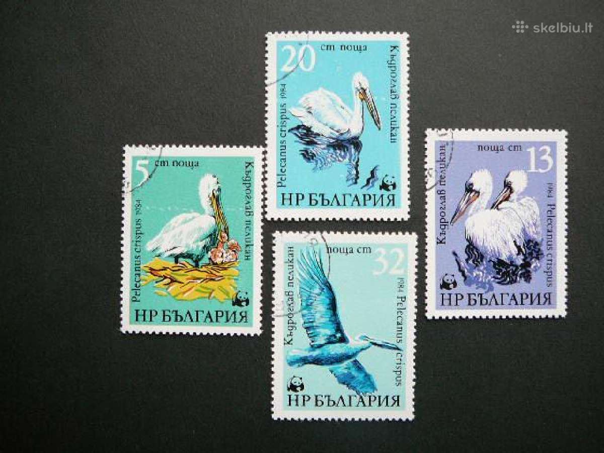Pauksciai Pelikanai Bulgarija 1984 antsp. bg609