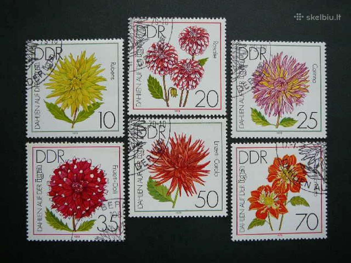 Geles Vokietija Dem. 1979 antsp. vdm288