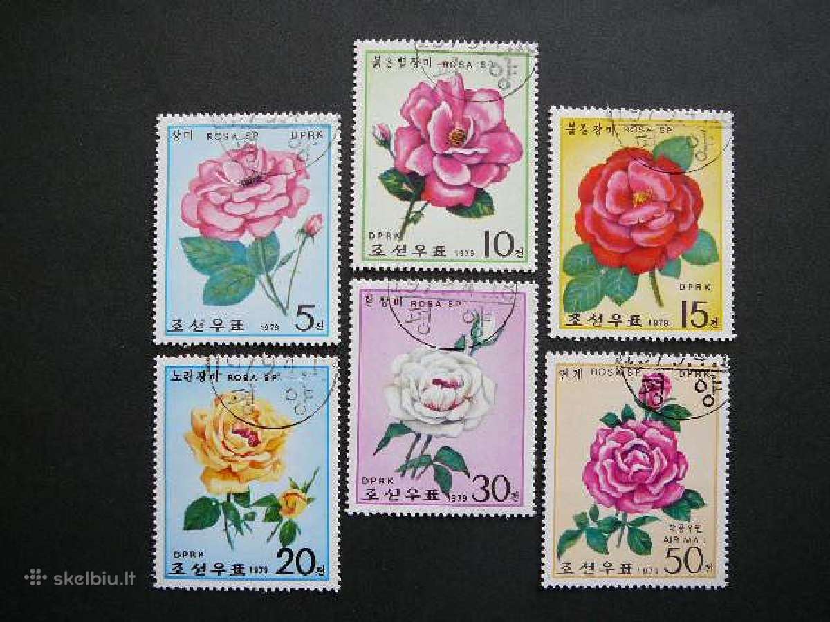 Rozes Geles Koreja 1979 antsp. kr1821