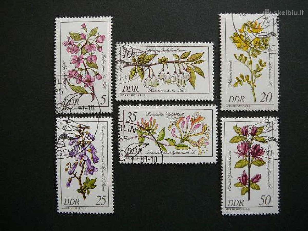 Geles Vokietija Dem. 1981 antsp. vdm248