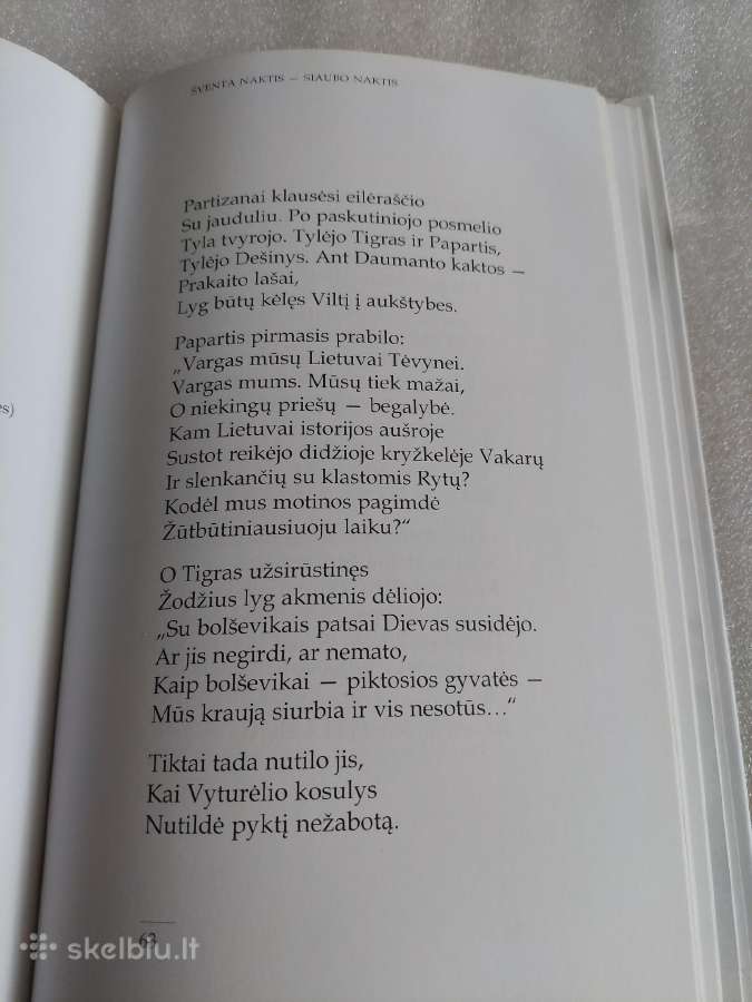 Partizanas Daumantas - nuotraukos Nr. 3