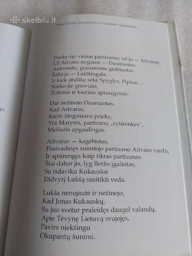 Partizanas Daumantas - nuotraukos Nr. 4