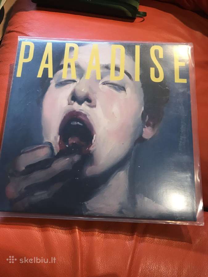 Vinilines ploksteles - nuotraukos Nr. 6