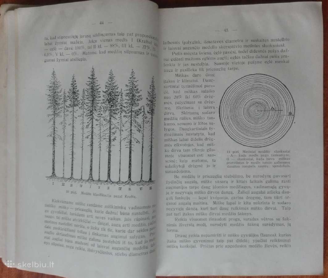 1865. Mokomosios Ekskursijos V. Ruzgas - nuotraukos Nr. 5