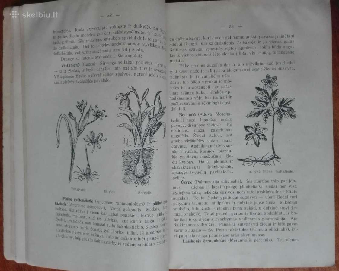 1865. Mokomosios Ekskursijos V. Ruzgas - nuotraukos Nr. 6