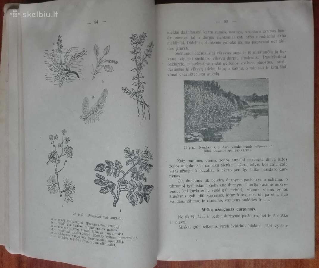 1865. Mokomosios Ekskursijos V. Ruzgas - nuotraukos Nr. 8