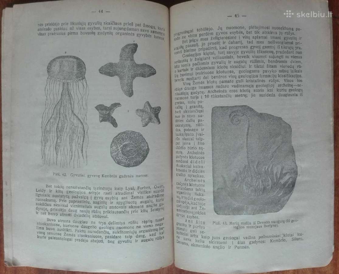 1863. Žemė Pasaulio Erdvėje reta antikvarinė-kolek - nuotraukos Nr. 7