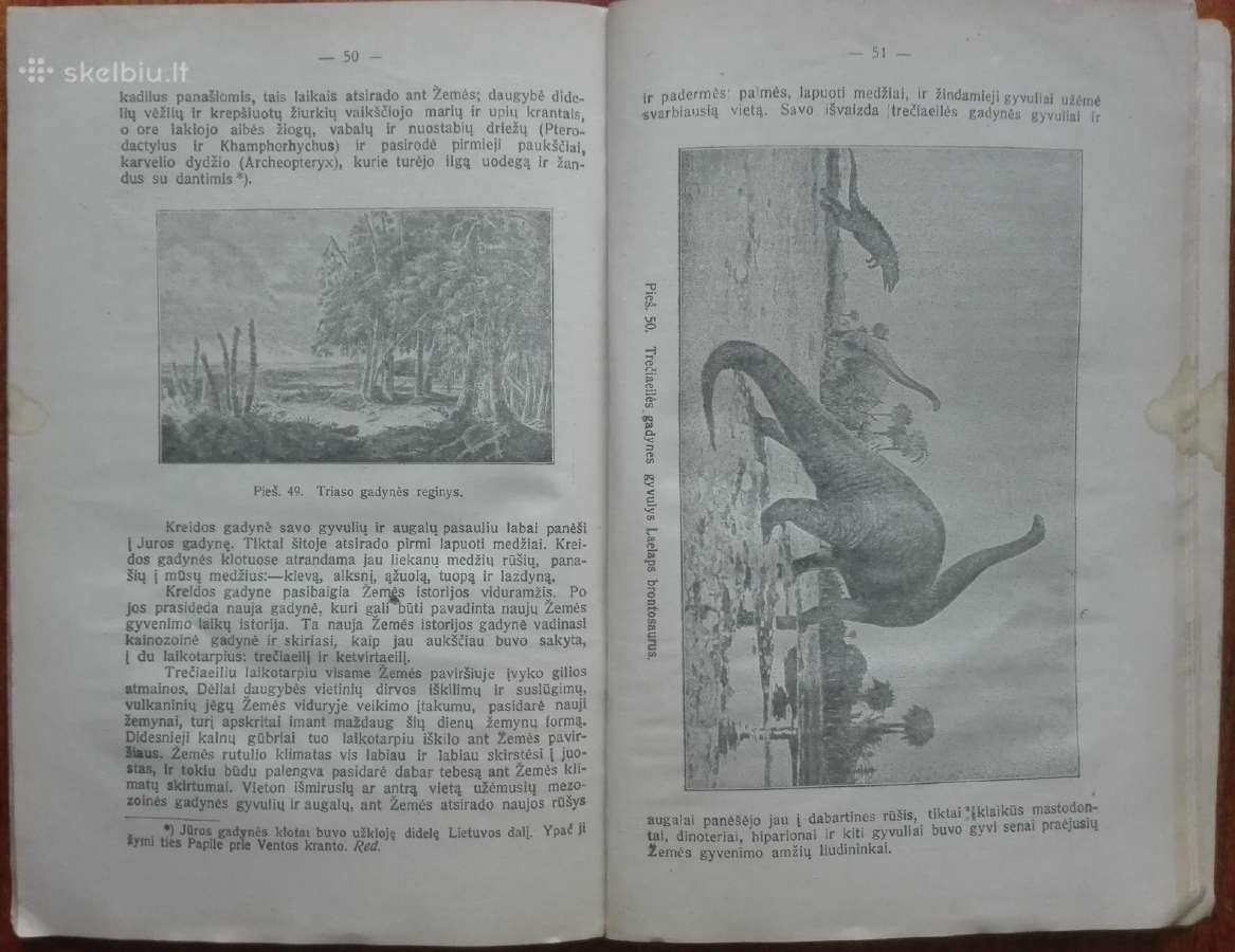 1863. Žemė Pasaulio Erdvėje reta antikvarinė-kolek - nuotraukos Nr. 8