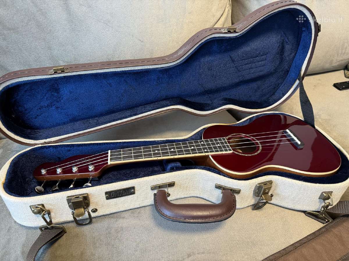 Fender concert ukulele with a hard case Skelbiu.lt