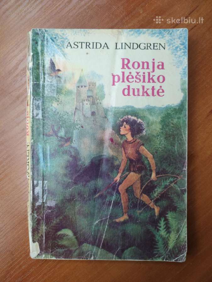 Senosios klasikos knygos - nuotraukos Nr. 2