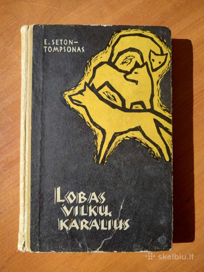 Senosios klasikos knygos - nuotraukos Nr. 9