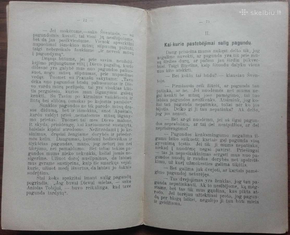 1868. Šv. Pranciškaus Saleziečio Dvasia Arba Tikra - nuotraukos Nr. 11