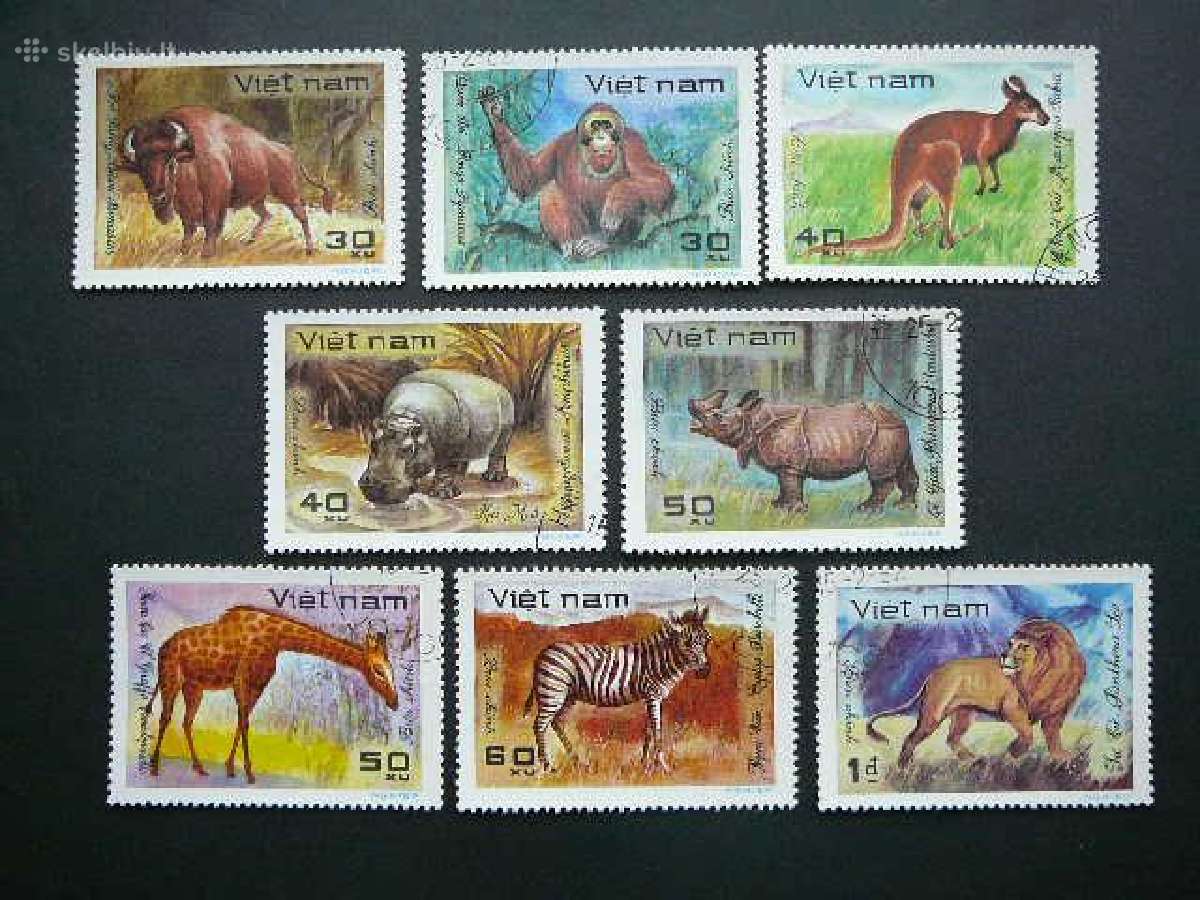 Zverys Liutai Zirafos Zebrai Vietnamas 1981 vt974