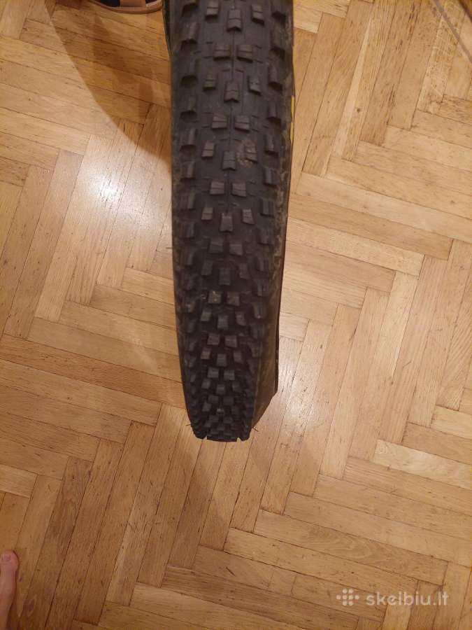MTB padanga Maxxis Forekaster 29" - nuotraukos Nr. 3
