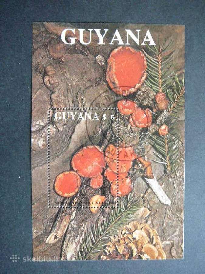 Grybai Gajana 1989 antsp. gjn389