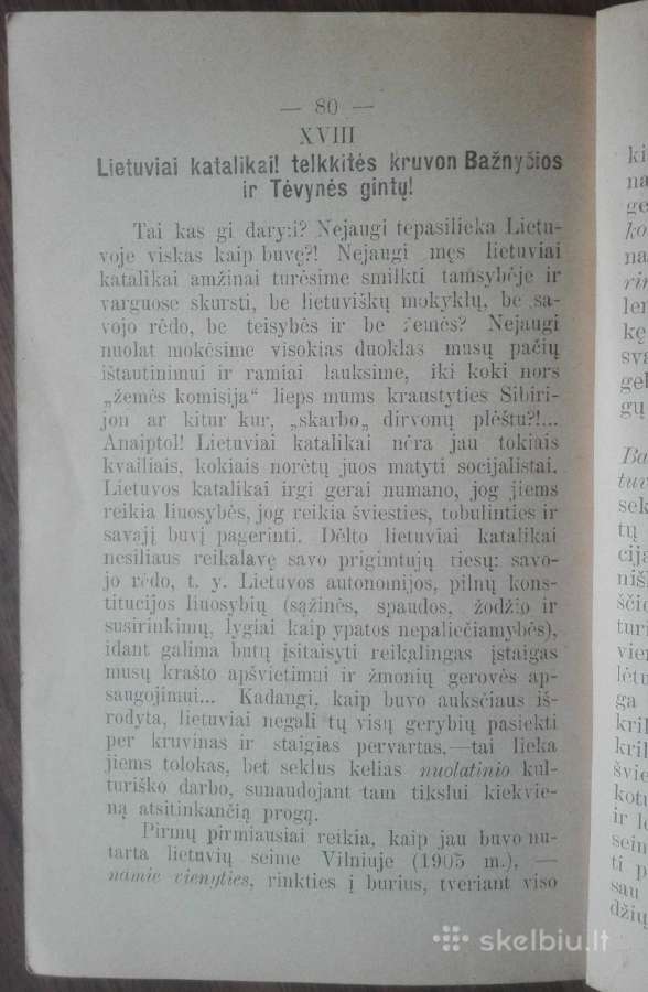 1880. Ar Bus Geriaus, Kad Socijalistai Gaus Viršų? - nuotraukos Nr. 9